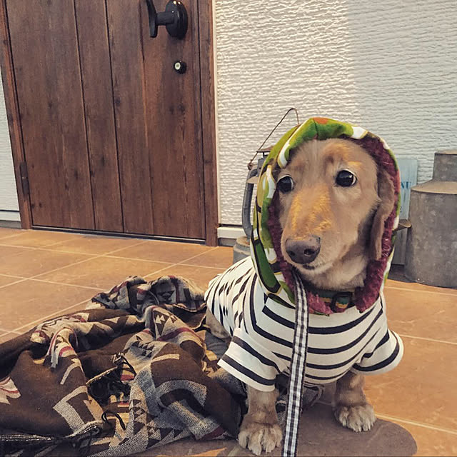 TOROさんの実例写真