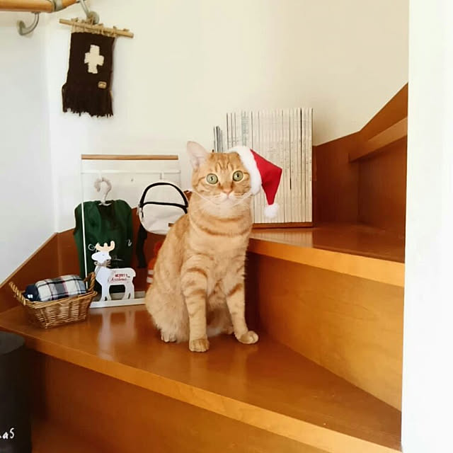 mayutan.さんの実例写真