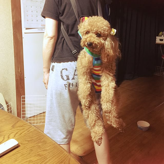 sei.kan.hide.chiyoさんの実例写真