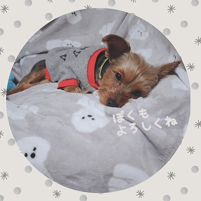 chinon721さんの部屋