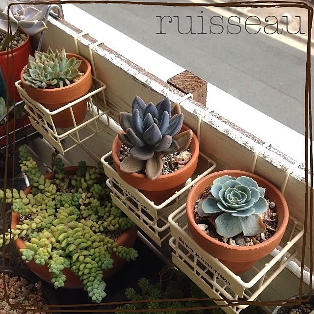 ruisseauさんの実例写真