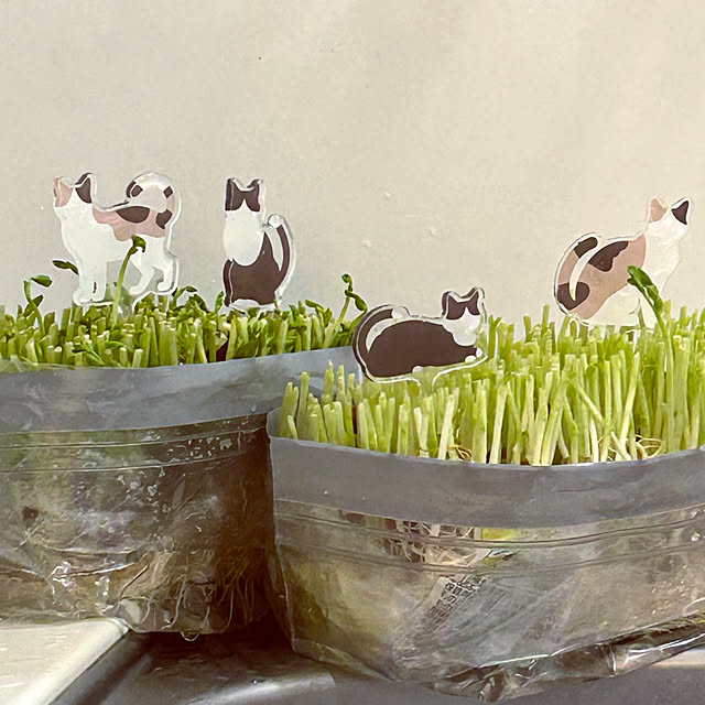 DAYONEさんの部屋