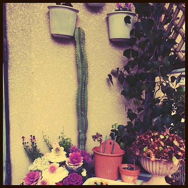 okikoさんの実例写真