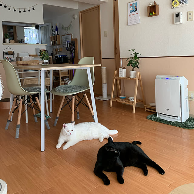 Machikoさんの実例写真
