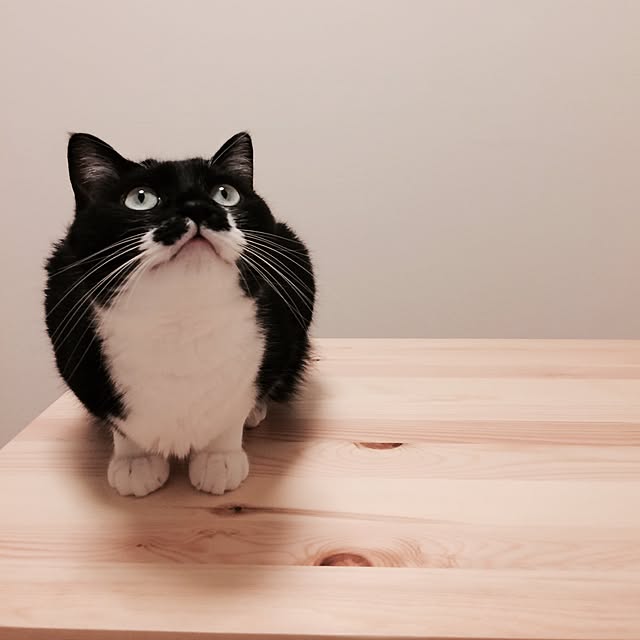 maimaimさんの実例写真