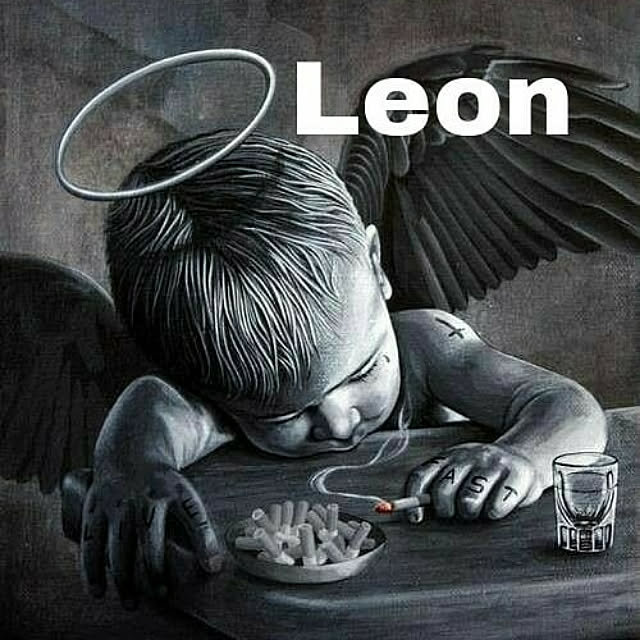 Leonさんの実例写真