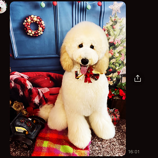 nackeyさんの実例写真