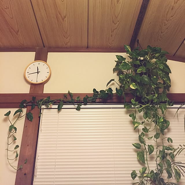 kaothe390さんの実例写真
