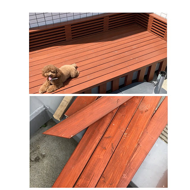 ISM.mumさんの実例写真