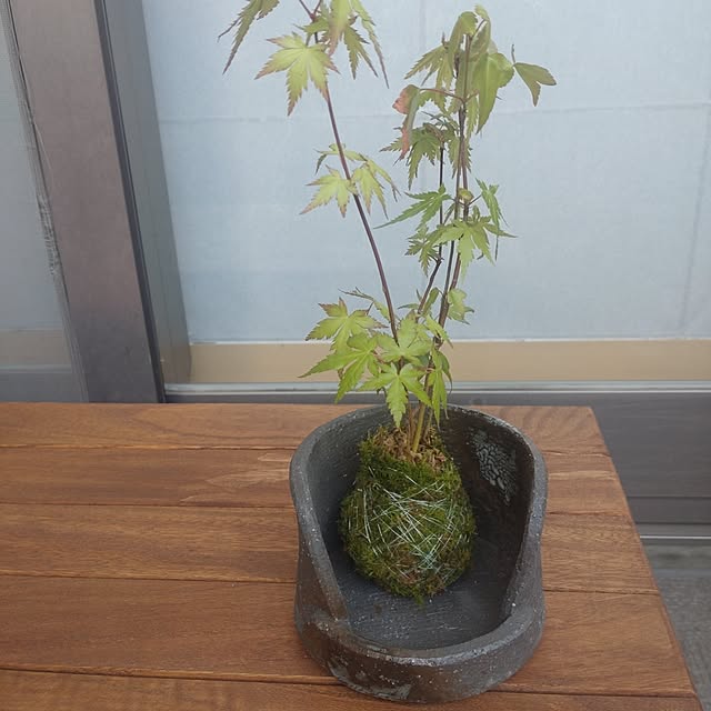 keemo293さんの部屋