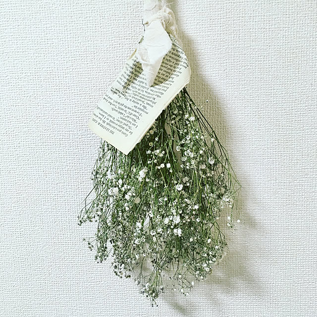 Ayumiさんの実例写真