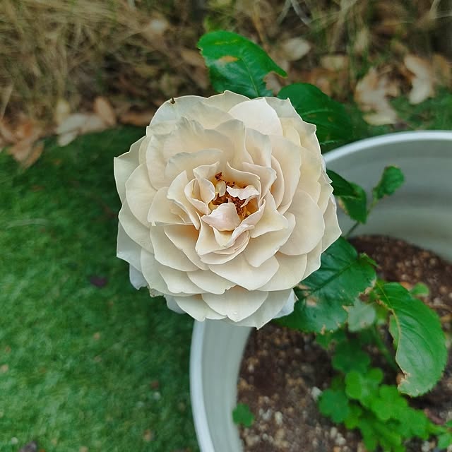 hiromimiさんの部屋