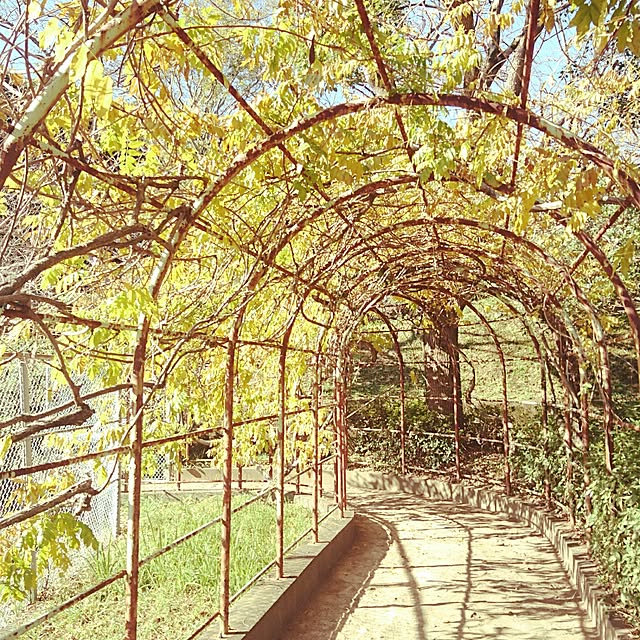 andさんの実例写真