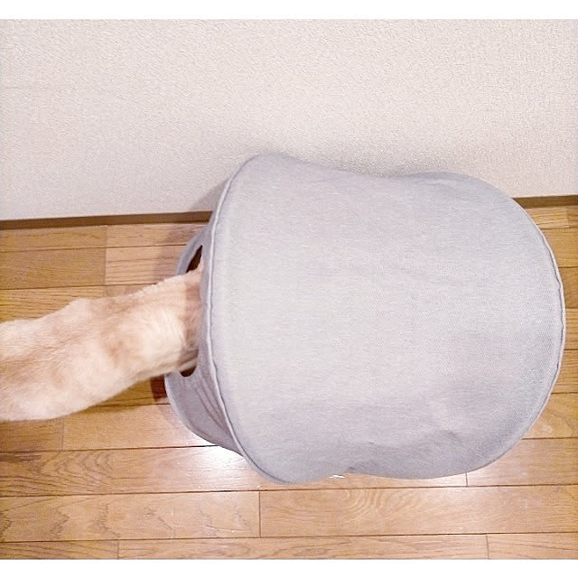 heart.emiemi57.whiteさんの実例写真