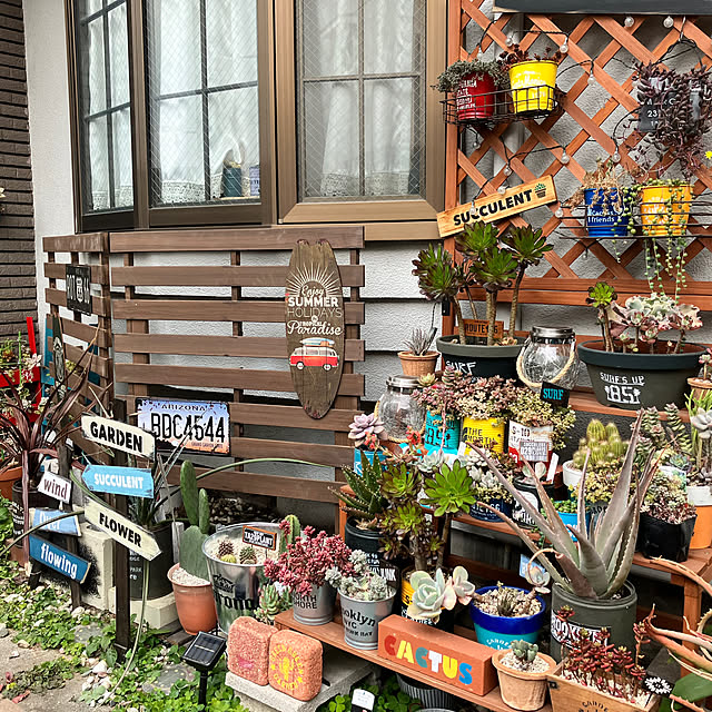 alohachikoさんの部屋