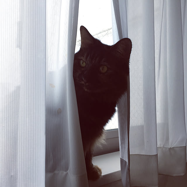 mikomaruさんの実例写真