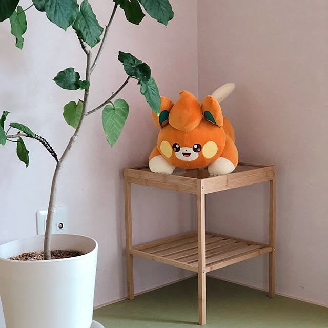 mihoさんの部屋