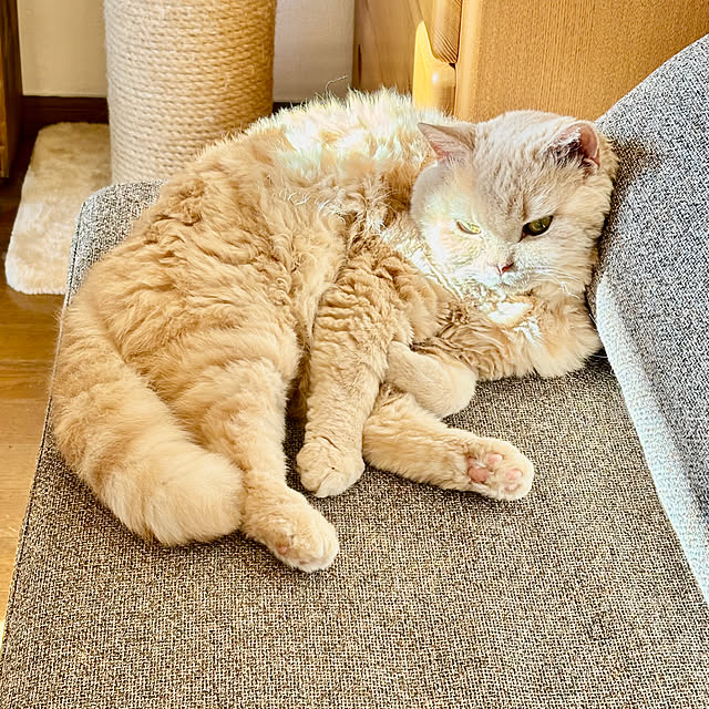 naokoさんの部屋