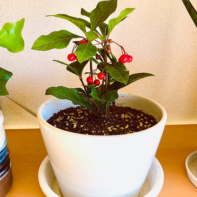 hanachanさんの部屋