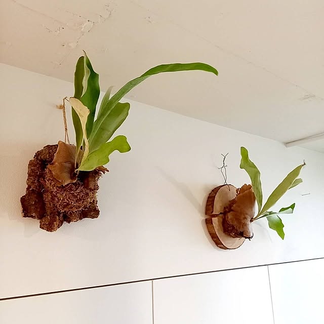 Rさんの部屋