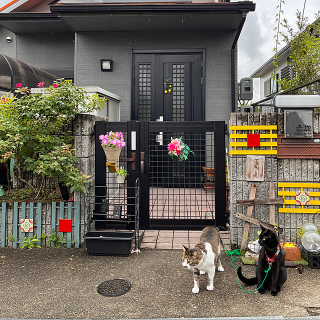 jijiさんの実例写真