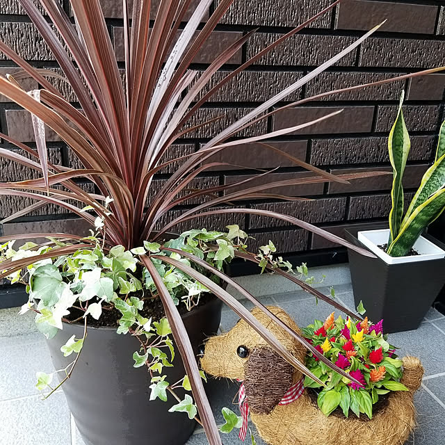 momozouさんの実例写真