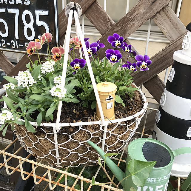 tanomamaさんの実例写真