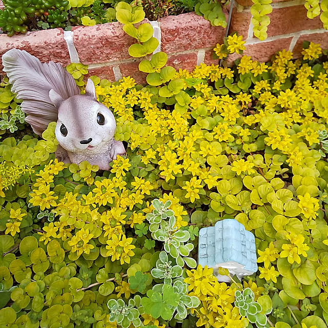 25Moondropsさんの実例写真
