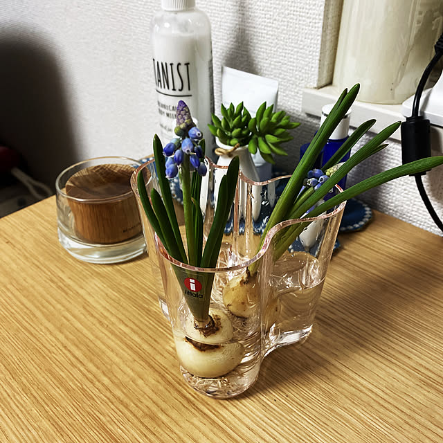 hanaさんの実例写真