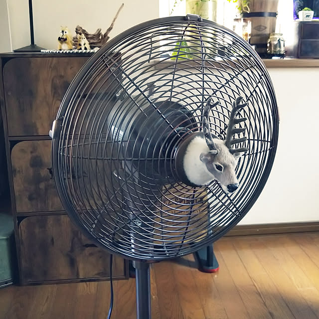 nippopoさんの実例写真