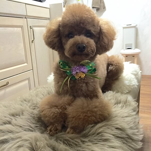 Naomiさんの実例写真