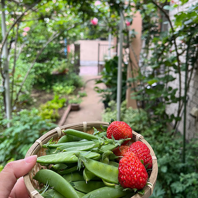 botanさんの部屋