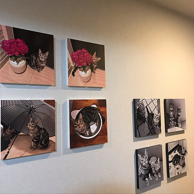 yoshimi_443さんの実例写真