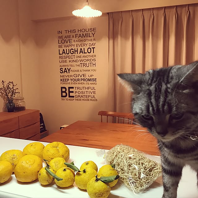 hiyupan88さんの実例写真
