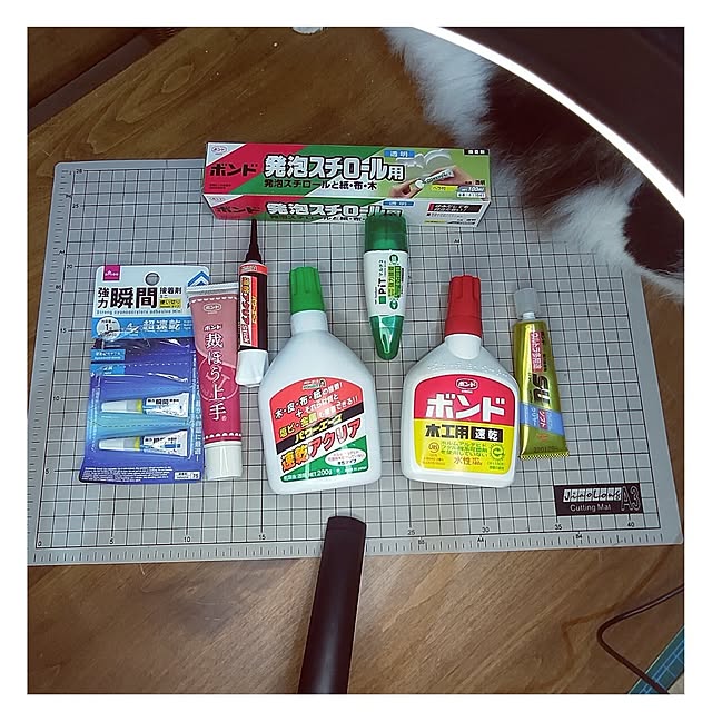 +CHIHARU+さんの部屋