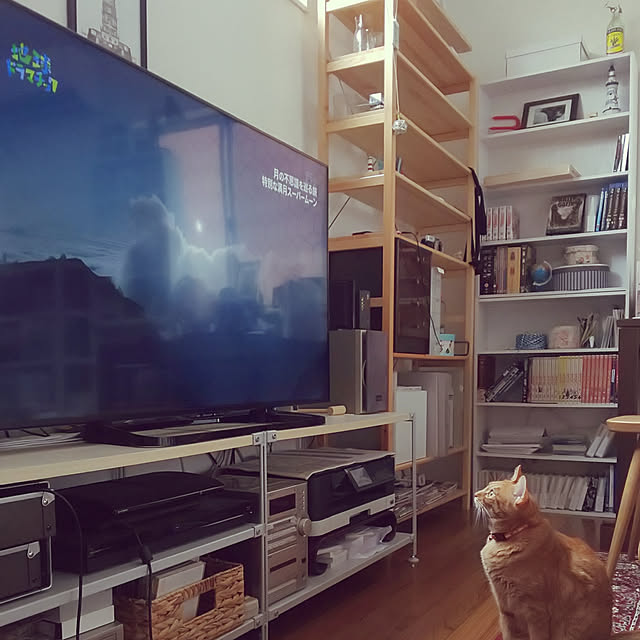 37さんの実例写真