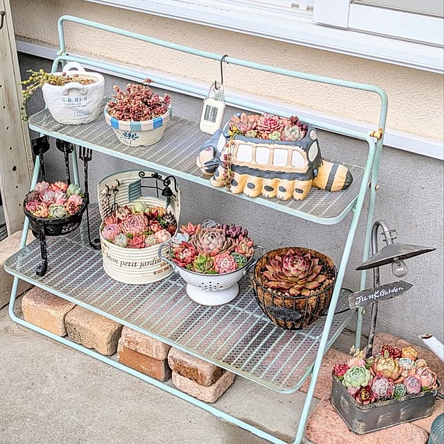 purpureさんの実例写真