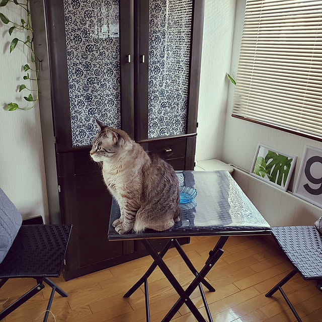 yunさんの実例写真
