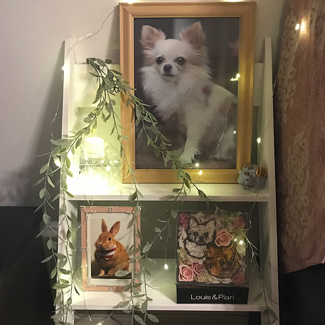 molpieさんの実例写真