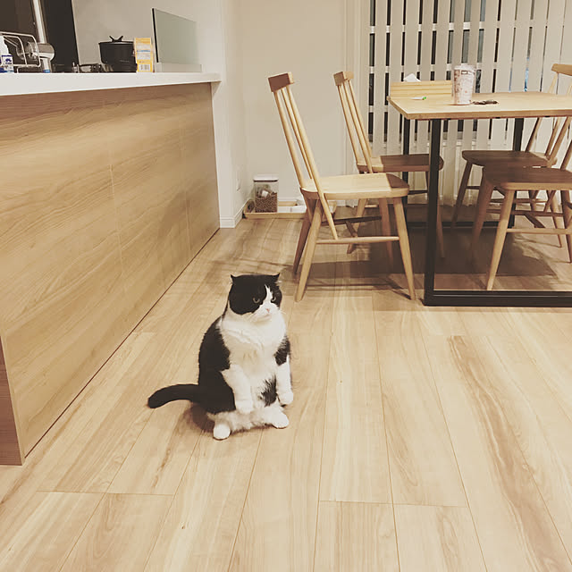 ayakaさんの実例写真