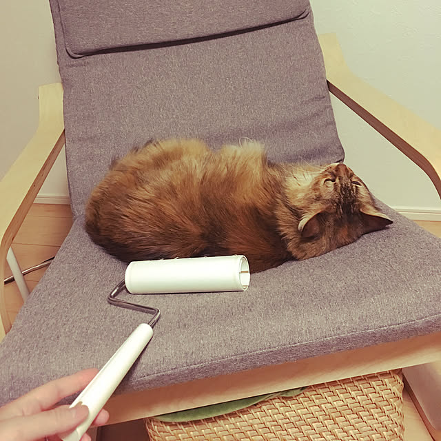 tokoさんの実例写真
