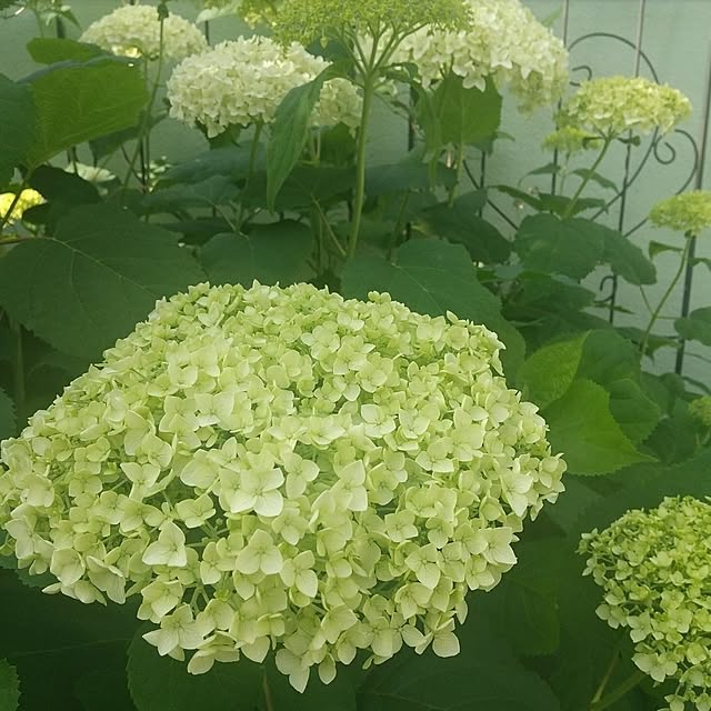 Rさんの実例写真