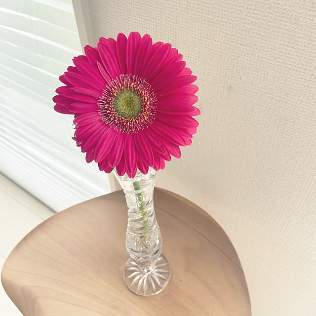 Haruさんの部屋