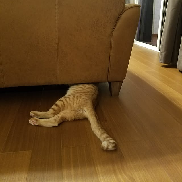 C.Tさんの実例写真