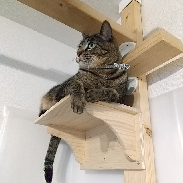 KARENさんの実例写真