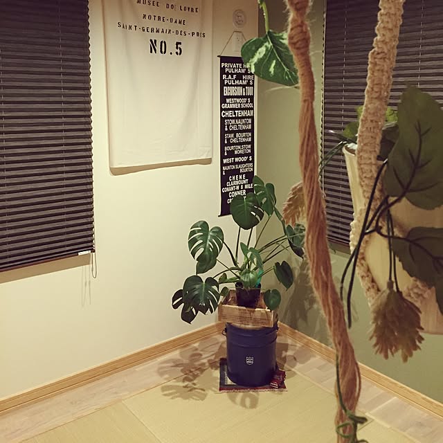 部屋全体/DIYのインテリア実例 - 2016-03-01 21:50:34