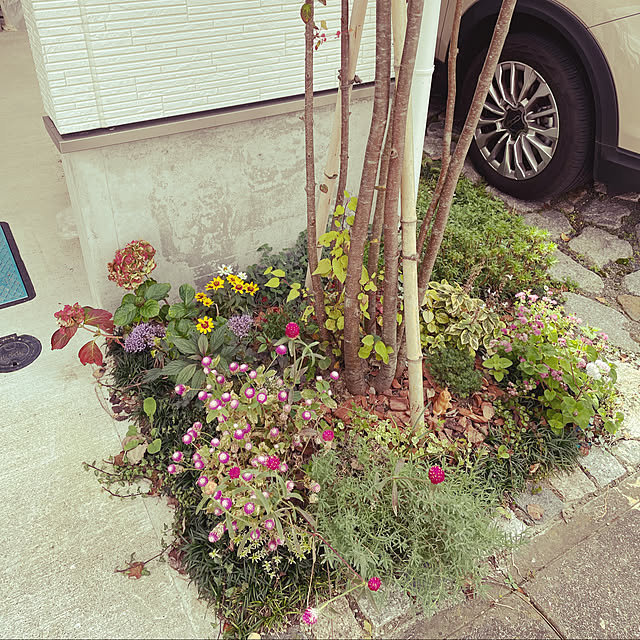 tantan0206さんの実例写真