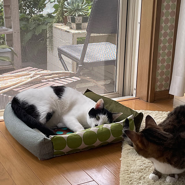 nobikoさんの部屋