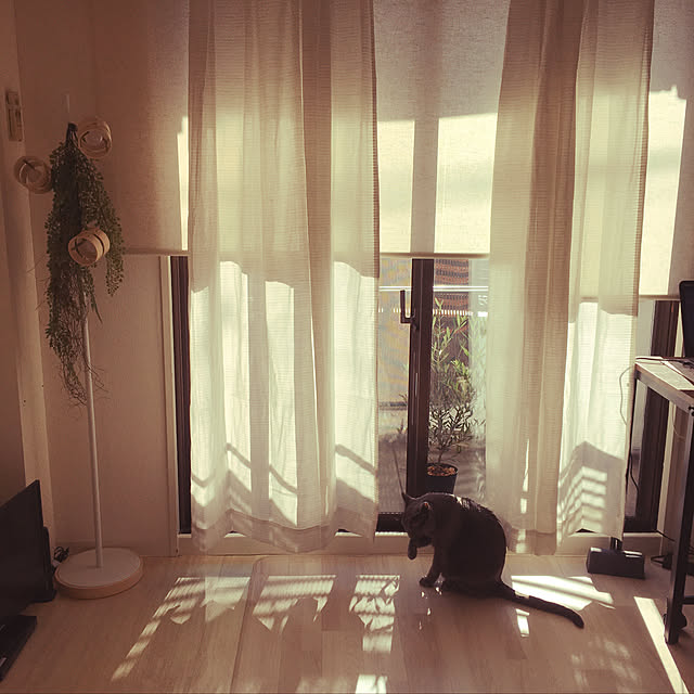 leaさんの実例写真