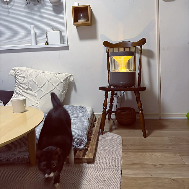 masamasaさんの部屋
